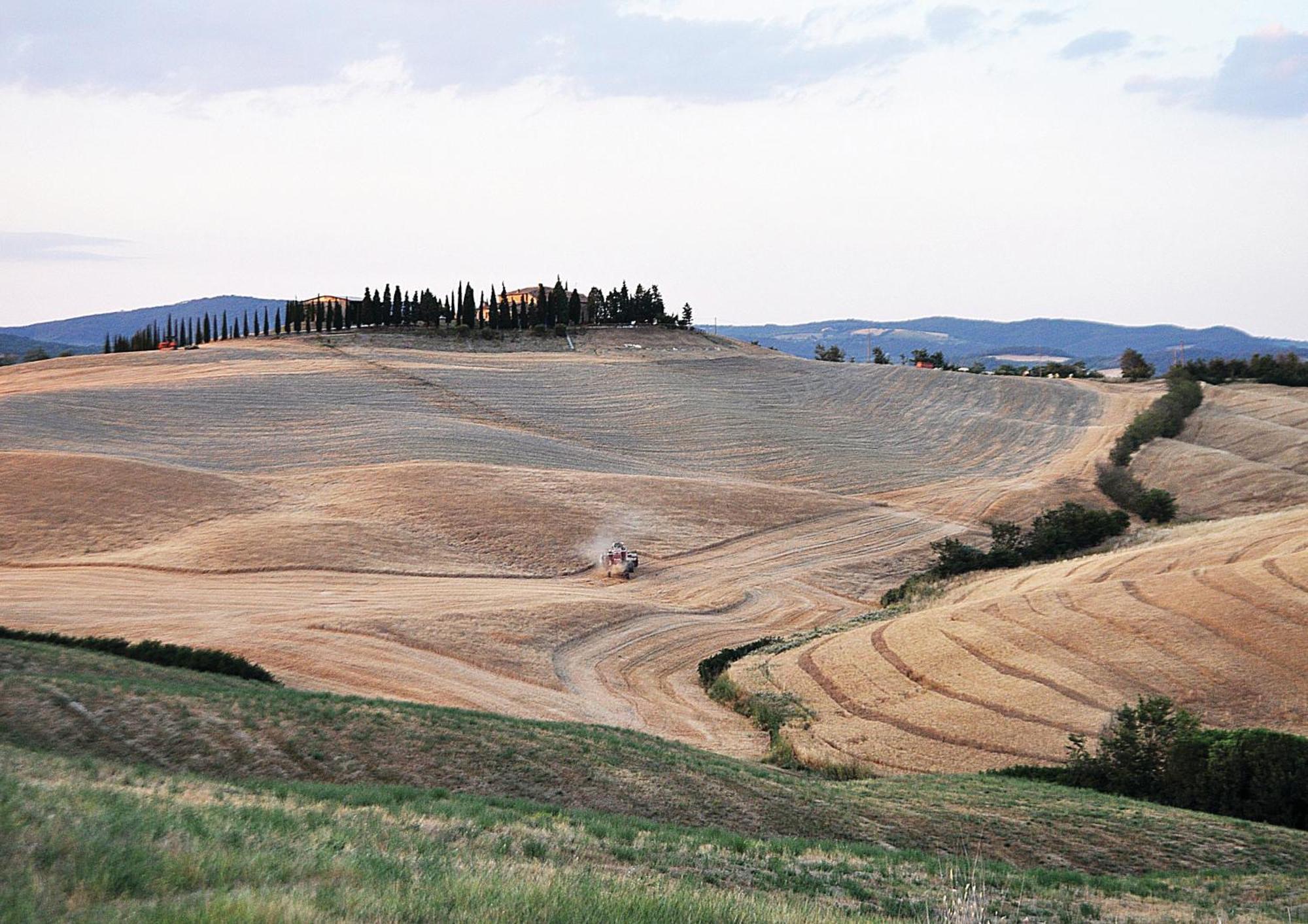 Bonello Alloggio per agriturismo *
