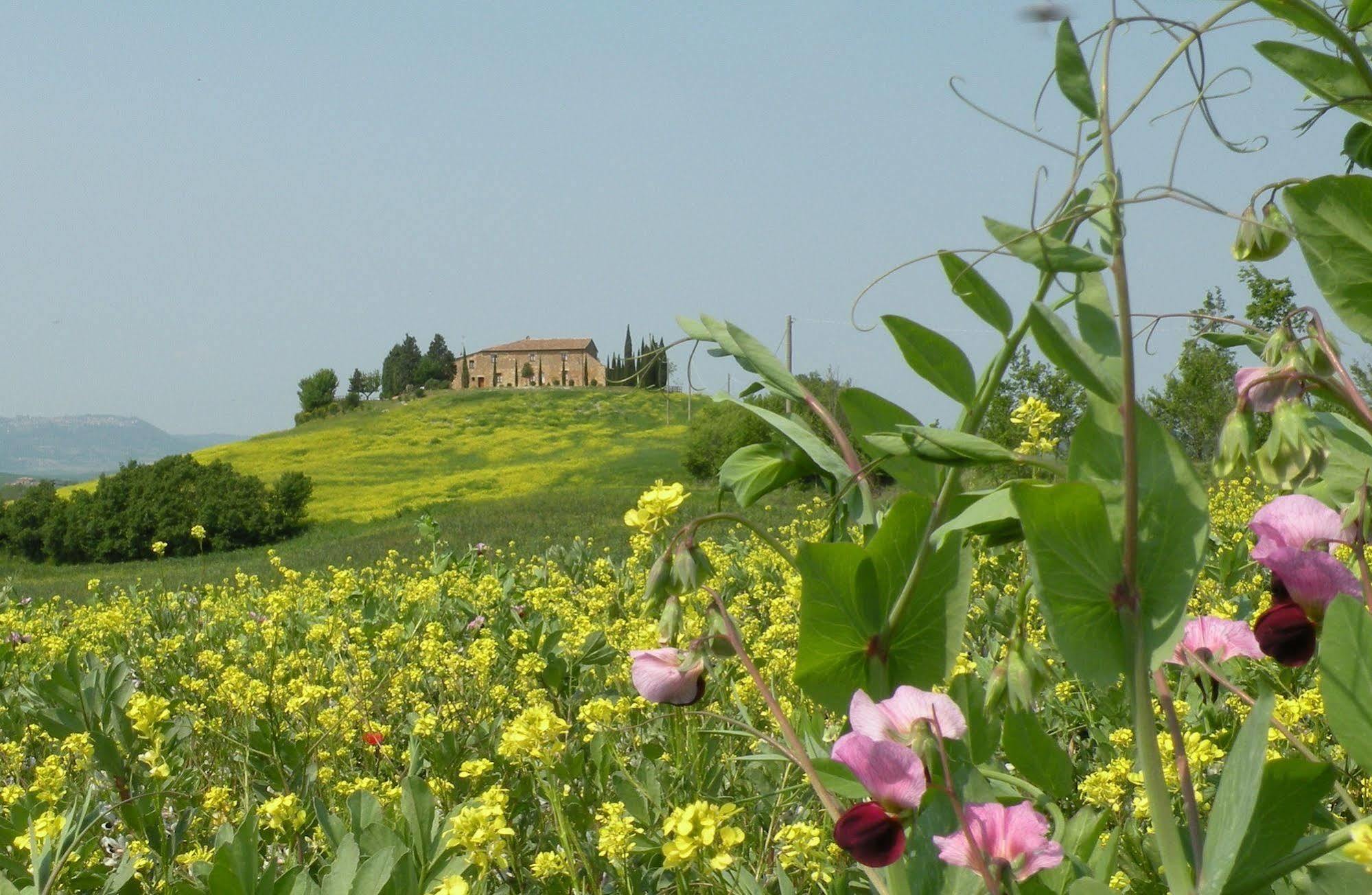 Bonello * Pienza